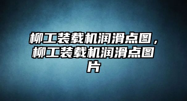 柳工裝載機(jī)潤滑點(diǎn)圖，柳工裝載機(jī)潤滑點(diǎn)圖片