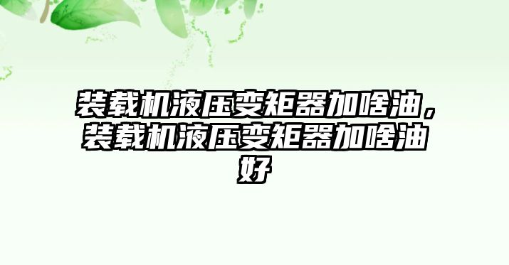 裝載機(jī)液壓變矩器加啥油，裝載機(jī)液壓變矩器加啥油好