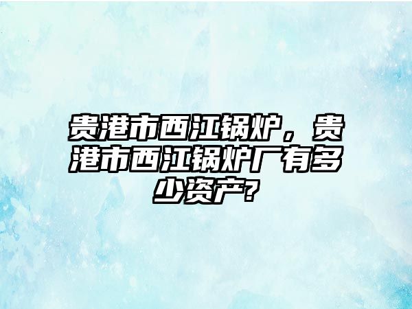 貴港市西江鍋爐，貴港市西江鍋爐廠有多少資產(chǎn)?