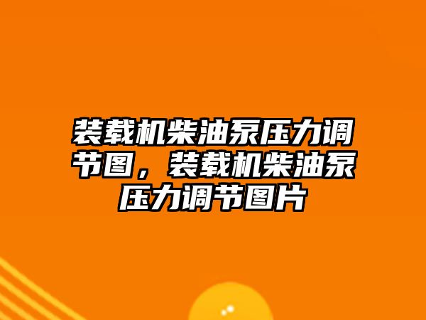 裝載機柴油泵壓力調(diào)節(jié)圖，裝載機柴油泵壓力調(diào)節(jié)圖片