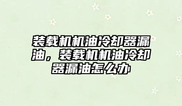 裝載機機油冷卻器漏油，裝載機機油冷卻器漏油怎么辦