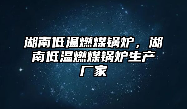 湖南低溫燃煤鍋爐，湖南低溫燃煤鍋爐生產(chǎn)廠家