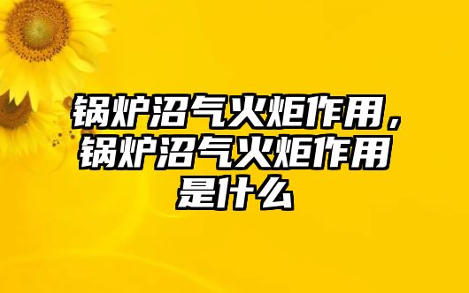 鍋爐沼氣火炬作用，鍋爐沼氣火炬作用是什么