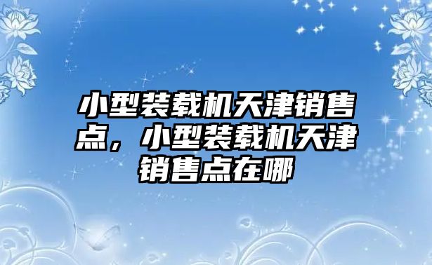 小型裝載機天津銷售點，小型裝載機天津銷售點在哪