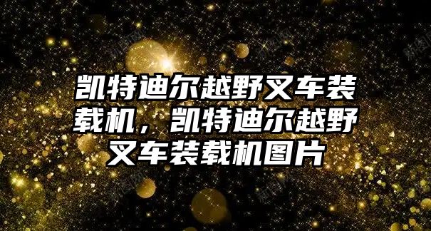 凱特迪爾越野叉車裝載機，凱特迪爾越野叉車裝載機圖片