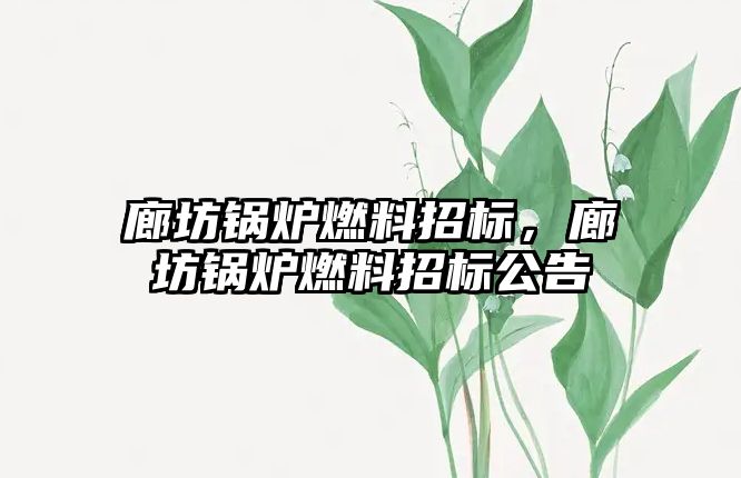 廊坊鍋爐燃料招標，廊坊鍋爐燃料招標公告