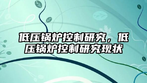 低壓鍋爐控制研究，低壓鍋爐控制研究現(xiàn)狀