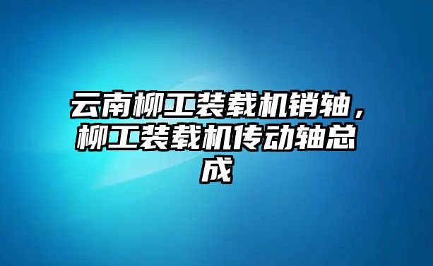 云南柳工裝載機銷軸，柳工裝載機傳動軸總成