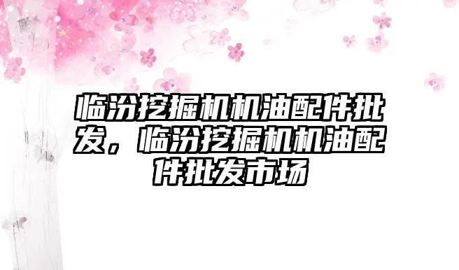 臨汾挖掘機機油配件批發(fā)，臨汾挖掘機機油配件批發(fā)市場